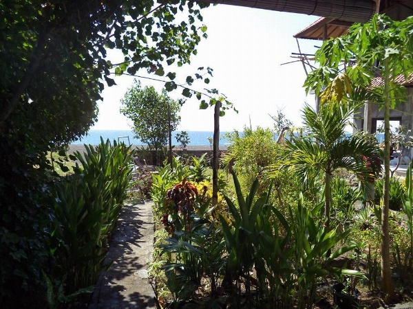 Kadek Homestay Amed image 16